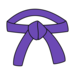purple martial arts belt