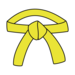 yellow martial arts belt